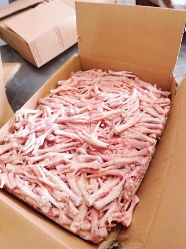 Chiken - Image 3